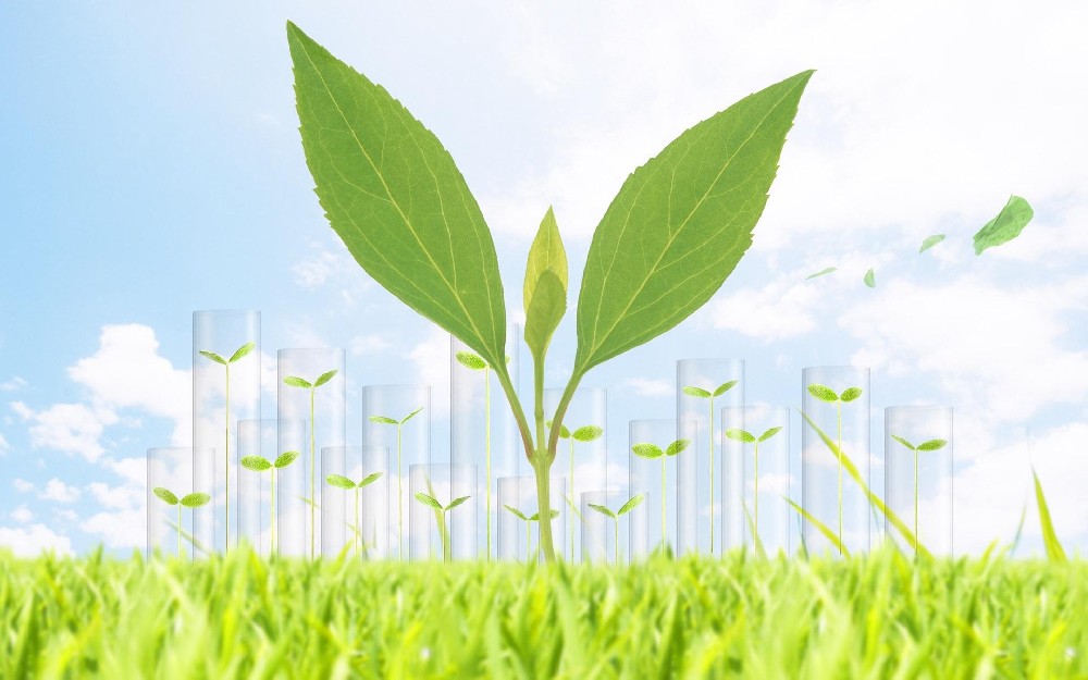 生物質(zhì)發(fā)電廠如何除塵？