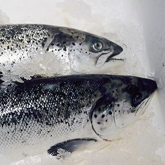 新發(fā)地三文魚案板檢測出新冠病毒，，北京多家超市連夜下架三文魚，北京新增三個病例